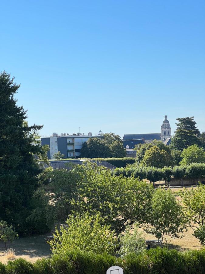 Appartement Haut Standing Proche Du Centre Ville, Vue Sur La Cathedrale Saint Louis ブロワ エクステリア 写真